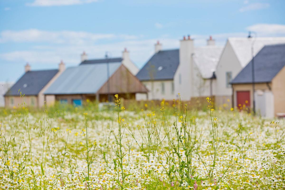 Chapelton ABZolutely